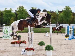 Daily Magic De Rock 1 Z