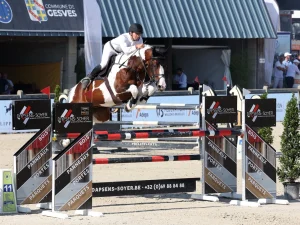 Dancing Heros de Rock 1 Z