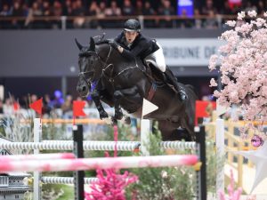 Impress-K Van't Katteneye