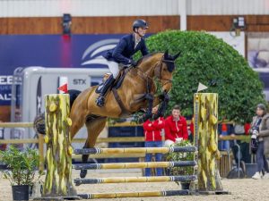 Don Julio De Regor T40 Z